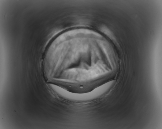 X0000083041260200703022041