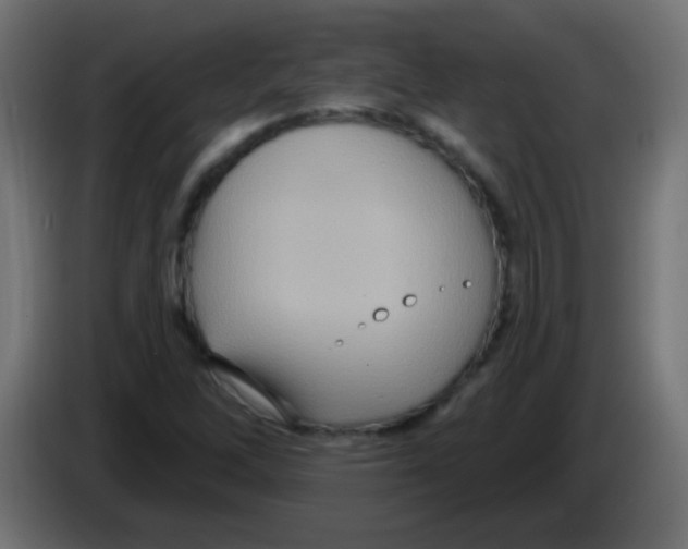 X0000083041262200703022041