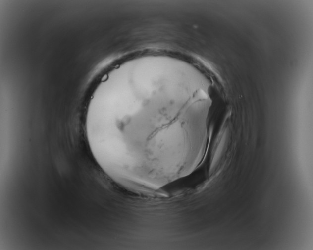 X0000083041263200703022041