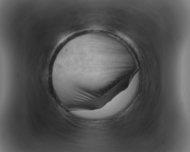 X0000083041264200703022041