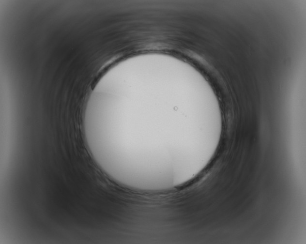 X0000083041265200703022041