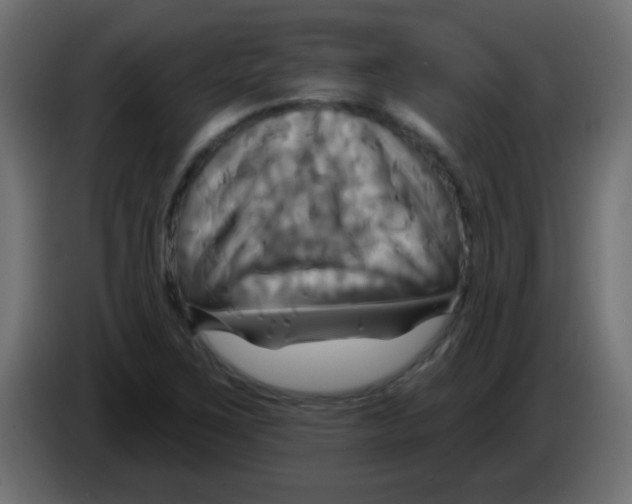 X0000083041267200703022041