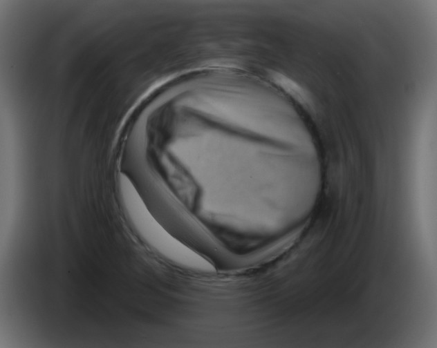 X0000083041268200703022040
