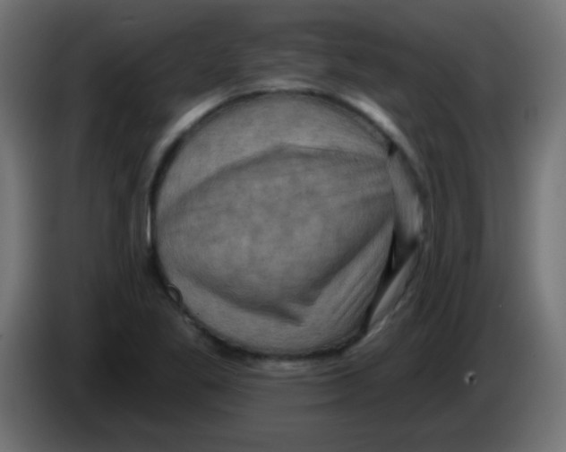 X0000083041269200703022040