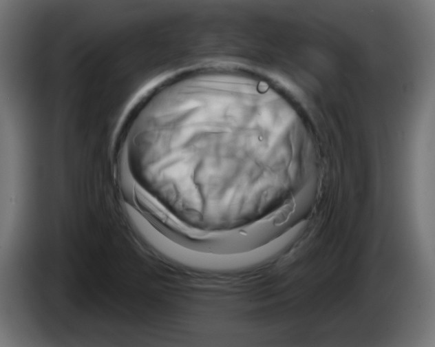 X0000083041271200703022040