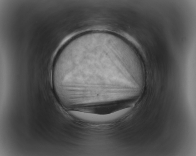 X0000083041272200703022040