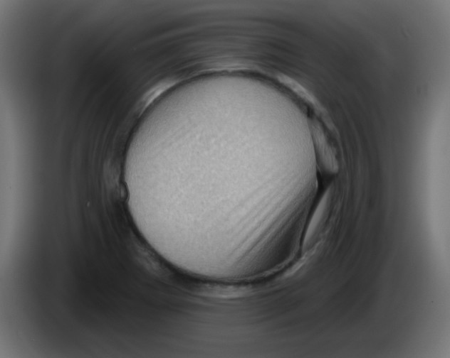 X0000083041273200703022040