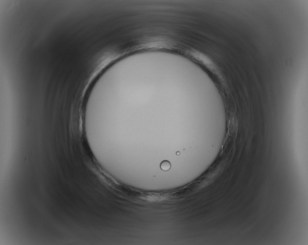 X0000083041274200703022040