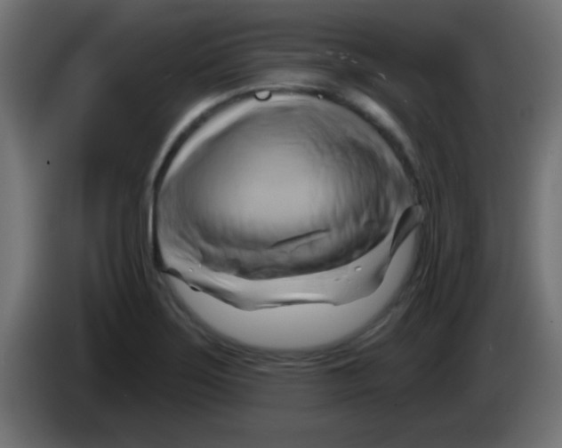 X0000083041275200703022040