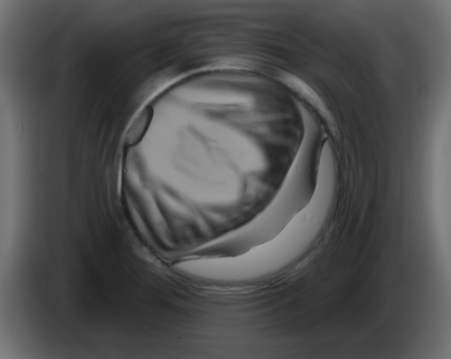 X0000083041276200703022040