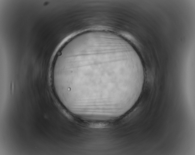 X0000083041278200703022040