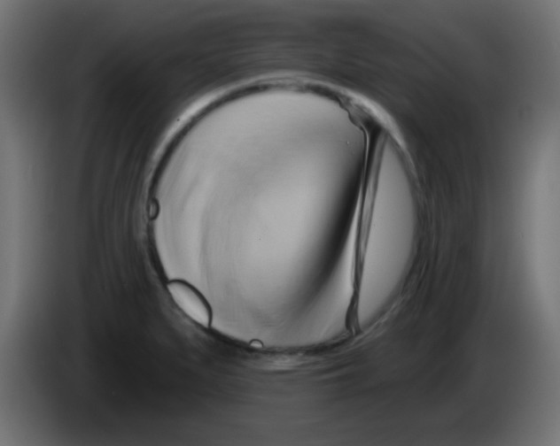 X0000083041279200703022040