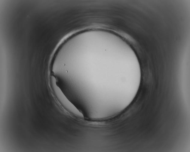 X0000083041280200703022040