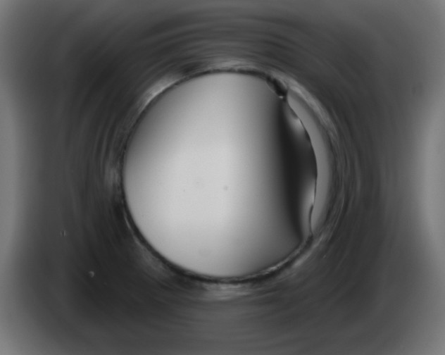 X0000083041281200703022040