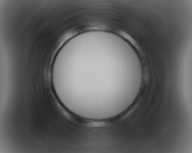 X0000083041282200703022040