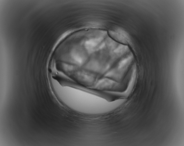 X0000083041283200703022040