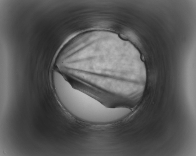 X0000083041284200703022040