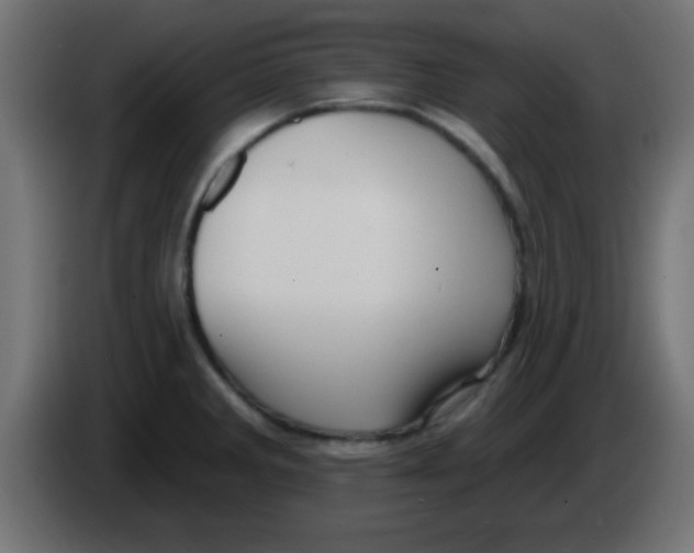 X0000083041285200703022040