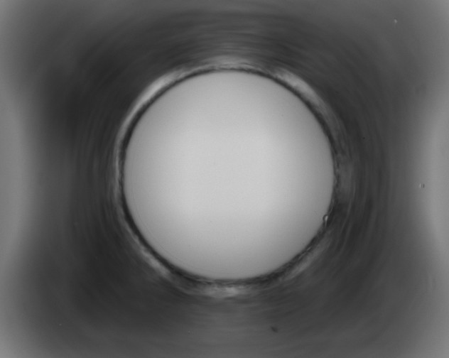 X0000083041286200703022040