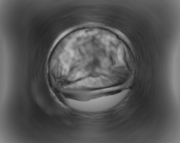 X0000083041287200703022040