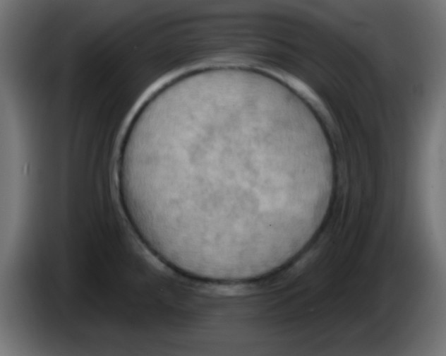 X0000083041288200703022040