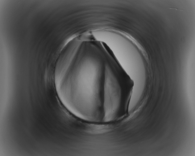 X0000083041289200703022040