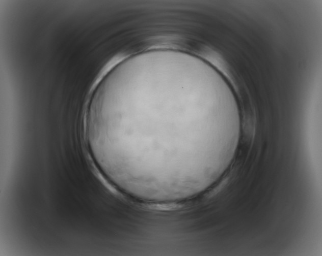 X0000083041290200703022040