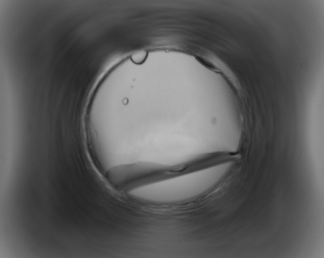 X0000083041291200703022040