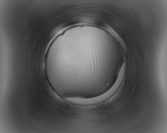 X0000083041292200703022040