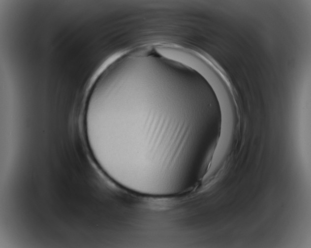 X0000083041293200703022040