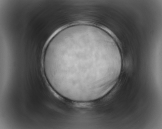 X0000083041294200703022040