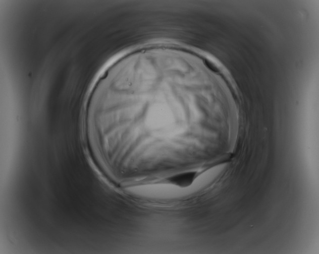 X0000083041295200703022040