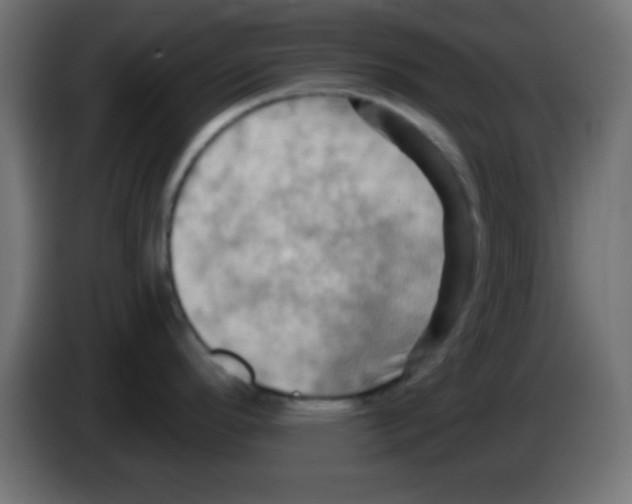 X0000083041296200703022040