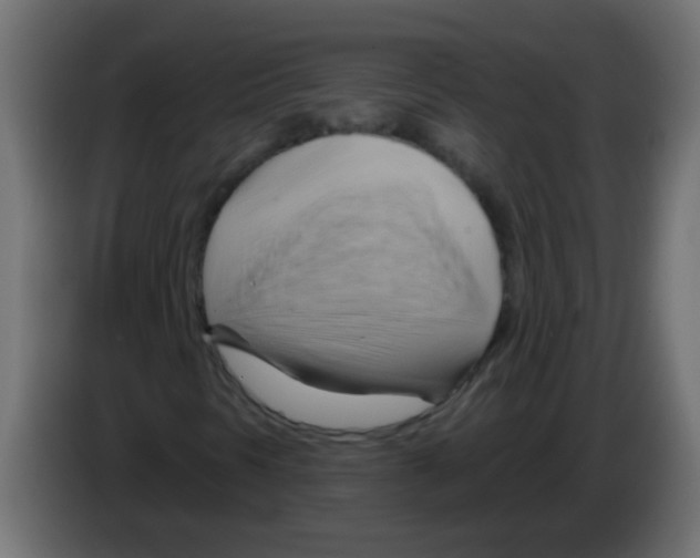 X0000083041297200703022039