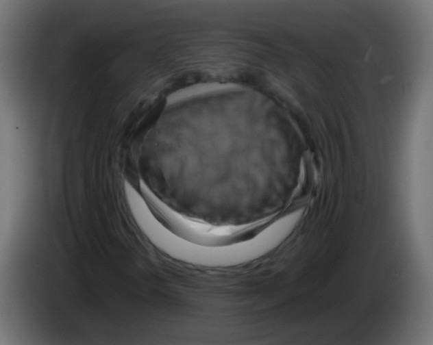 X0000083041298200703022039