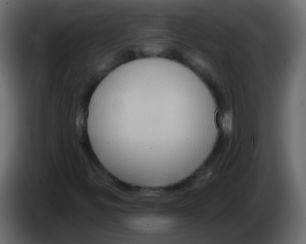 X0000083041299200703022039