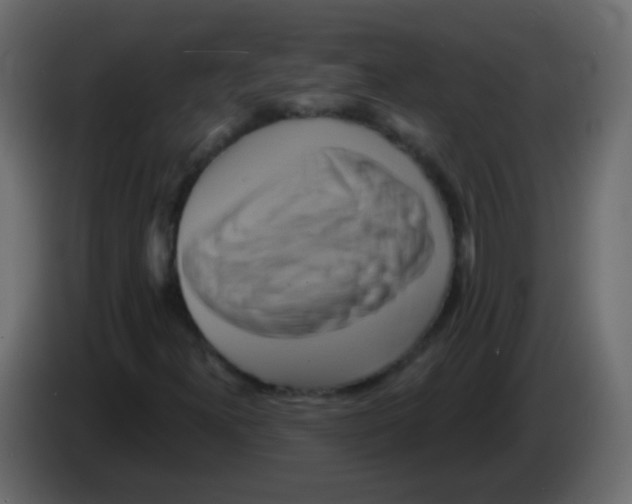 X0000083041300200703022039