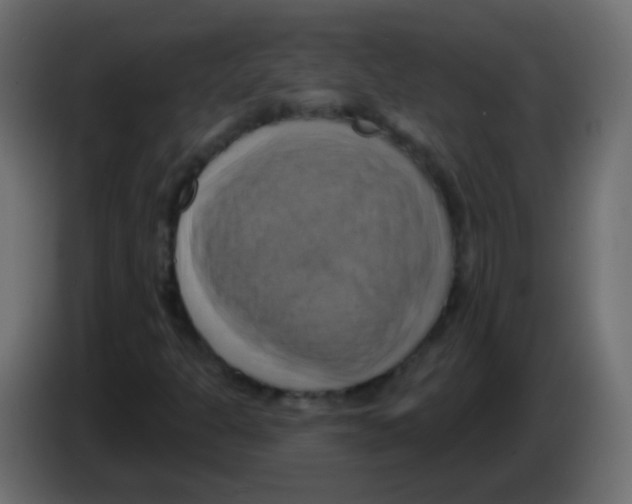 X0000083041301200703022039