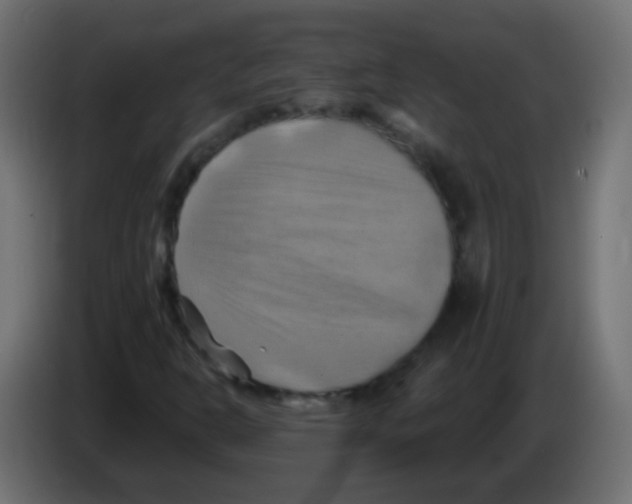 X0000083041302200703022039