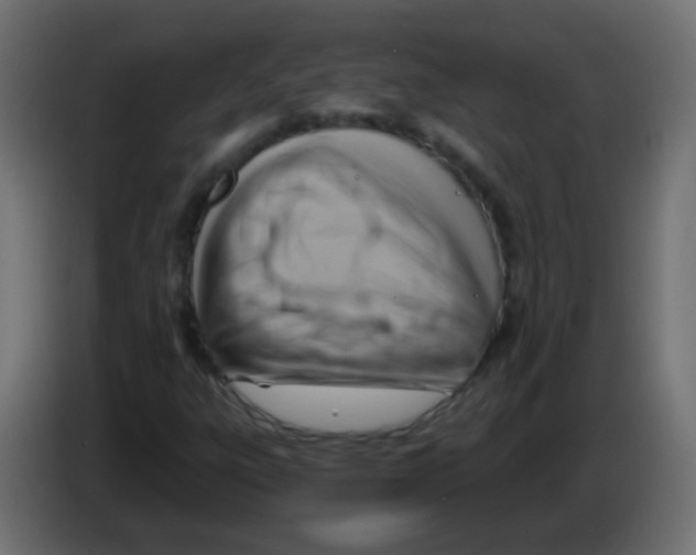 X0000083041303200703022039