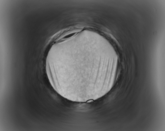 X0000083041304200703022039