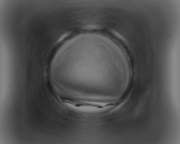 X0000083041305200703022039