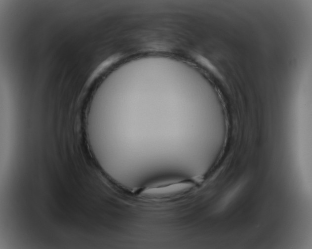 X0000083041307200703022039