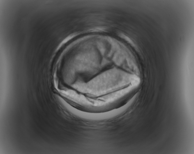 X0000083041308200703022039