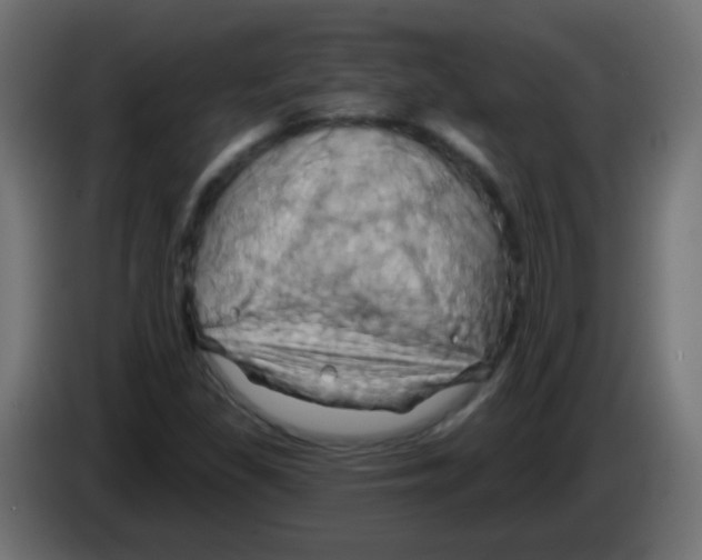 X0000083041309200703022039