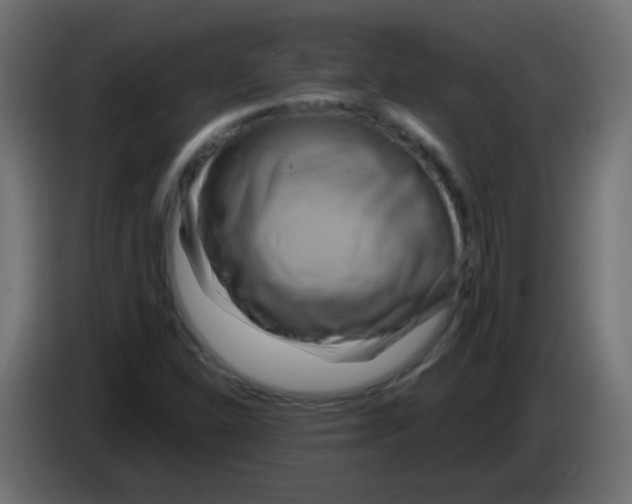 X0000083041310200703022039