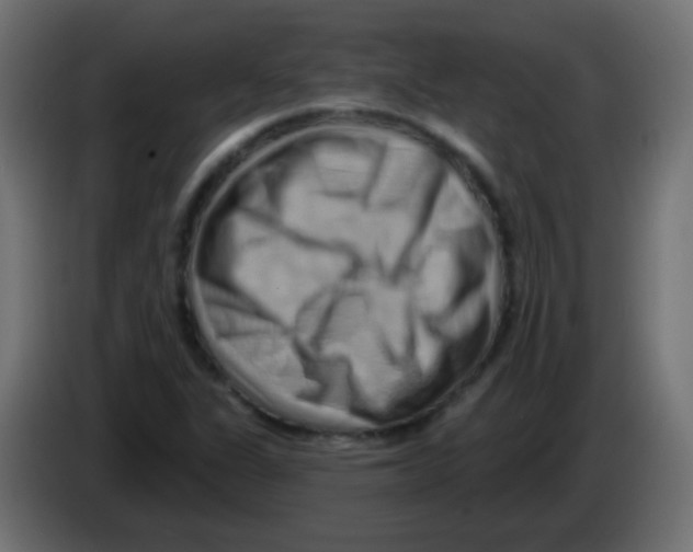 X0000083041311200703022040