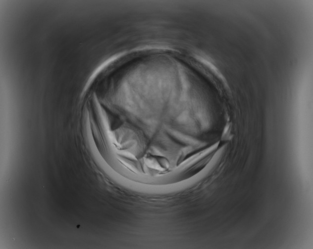 X0000083041312200703022040