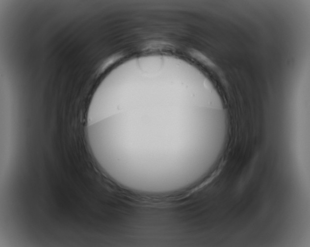 X0000083041313200703022040