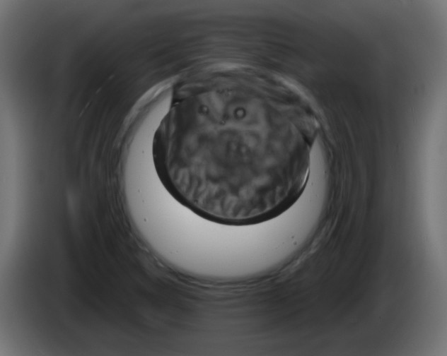 X0000083041314200703022040